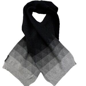 Banana Republic Merino Wool Scarf